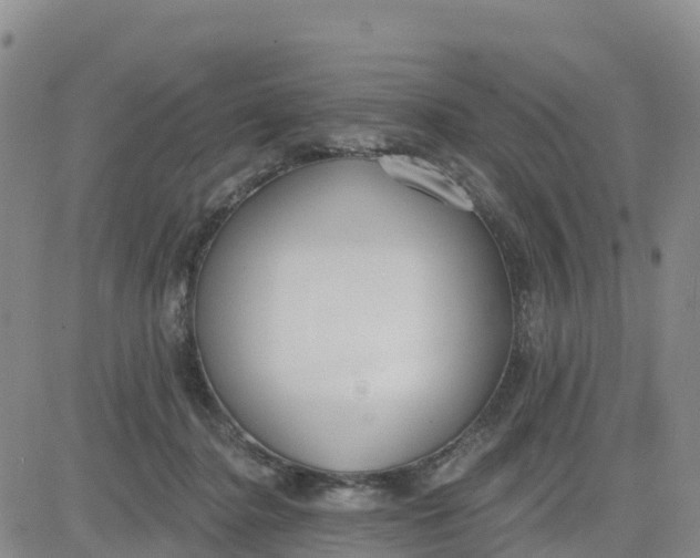 X0000080670364200612301406