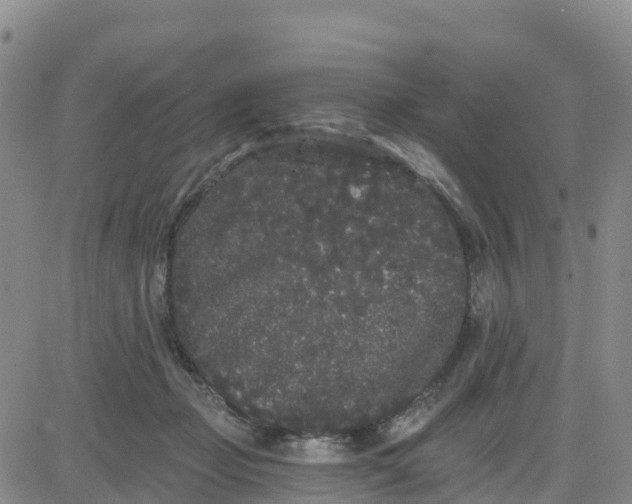 X0000080670365200612301406