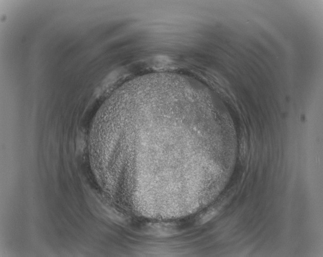 X0000080670367200612301406