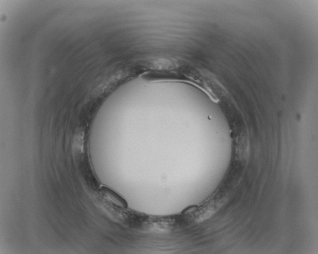 X0000080670368200612301406