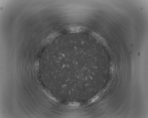 X0000080670369200612301406