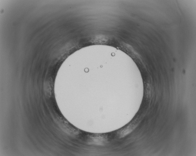 X0000080670370200612301406