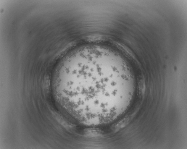 X0000080670372200612301406