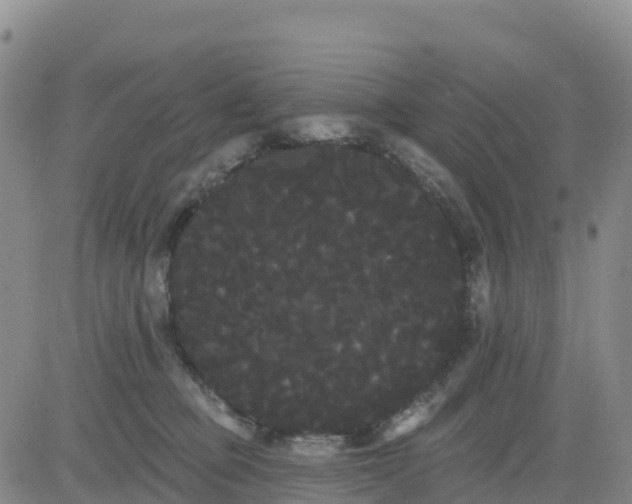 X0000080670373200612301406