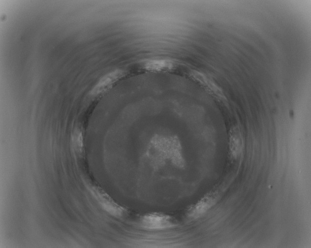 X0000080670375200612301406