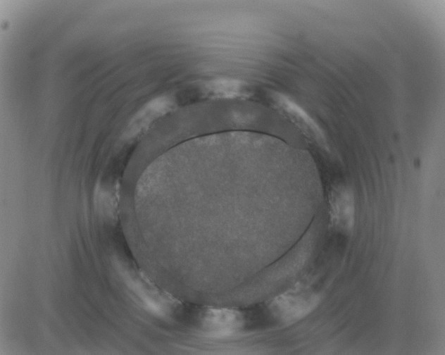 X0000080670376200612301406