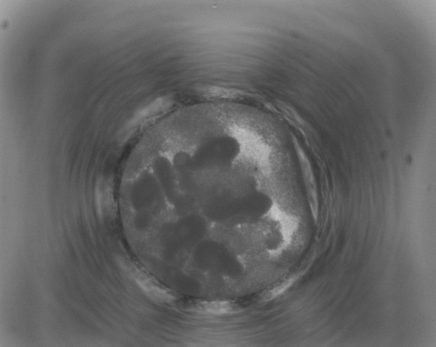 X0000080670377200612301406