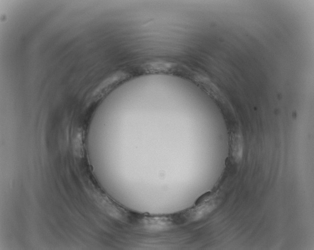 X0000080670378200612301406