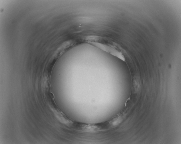 X0000080670379200612301406