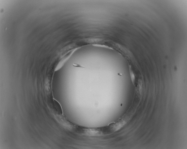 X0000080670380200612301406