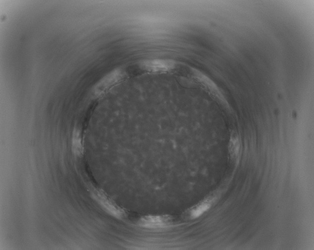 X0000080670381200612301406