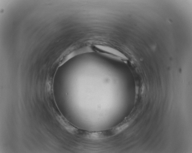 X0000080670382200612301406