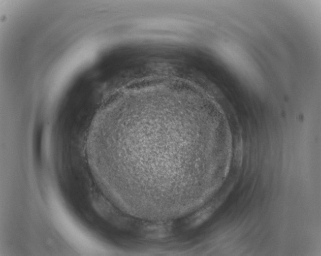 X0000080670383200612301406