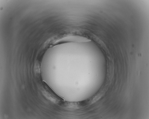 X0000080670384200612301406