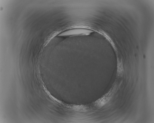 X0000080670385200612301405