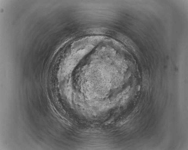 X0000080670386200612301405