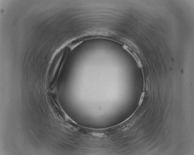 X0000080670388200612301405