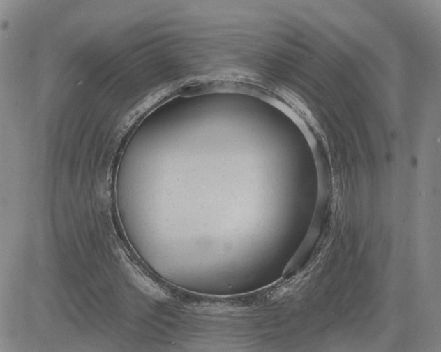 X0000080670389200612301405