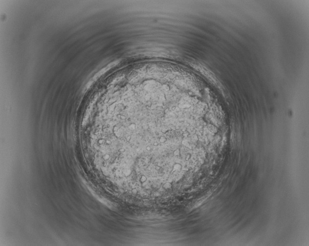 X0000080670390200612301405