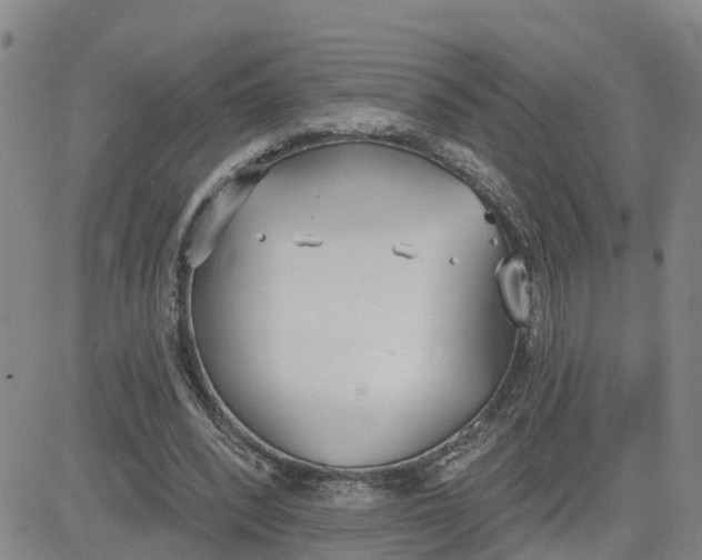 X0000080670392200612301405