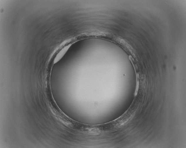 X0000080670395200612301405