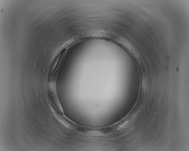 X0000080670397200612301405