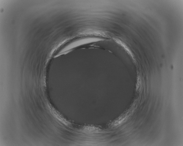 X0000080670399200612301405