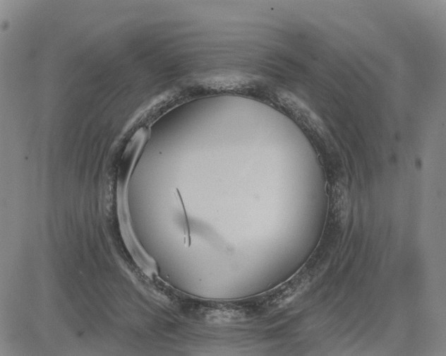 X0000080670400200612301405