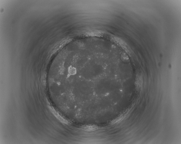 X0000080670402200612301405