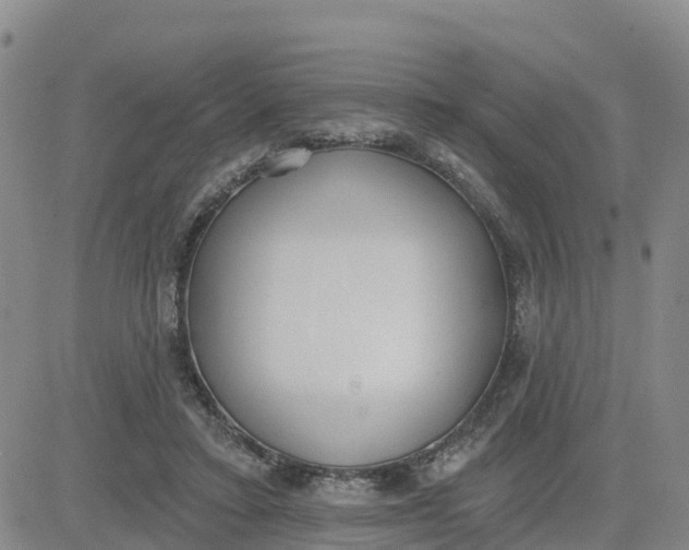 X0000080670403200612301405