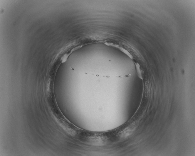 X0000080670404200612301405