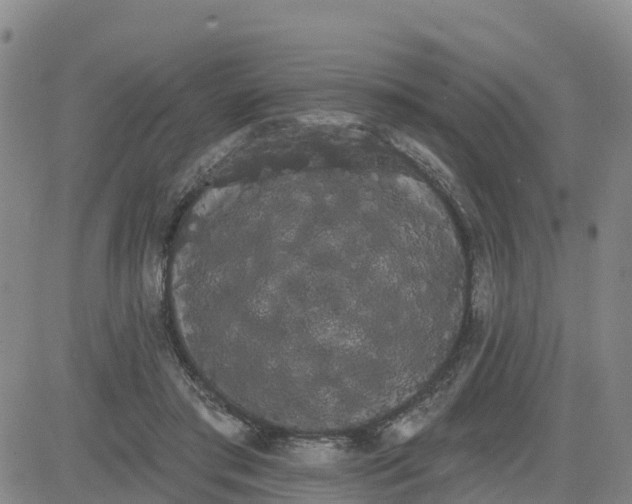 X0000080670405200612301405