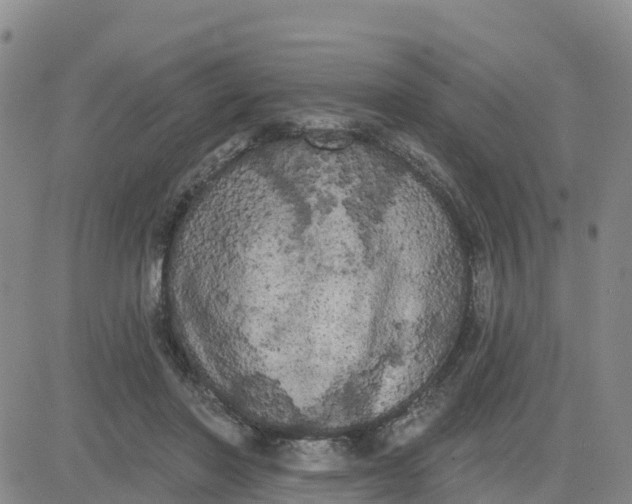 X0000080670406200612301405