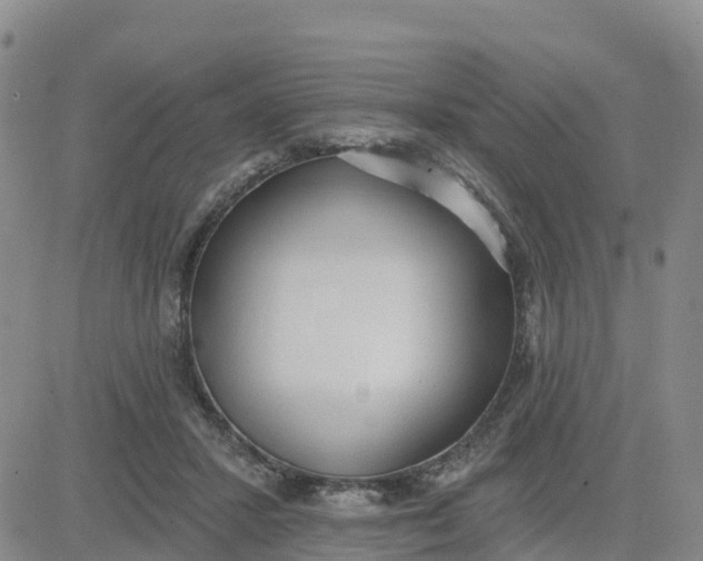 X0000080670407200612301405