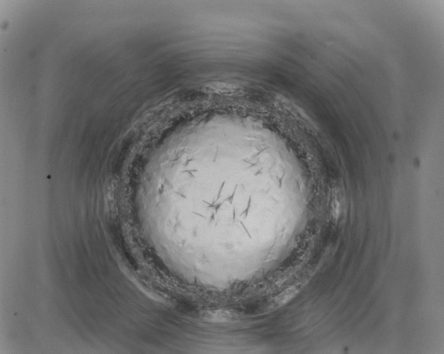 X0000080670408200612301405