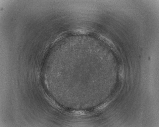 X0000080670409200612301405