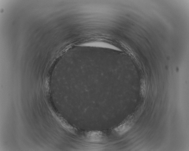 X0000080670410200612301405