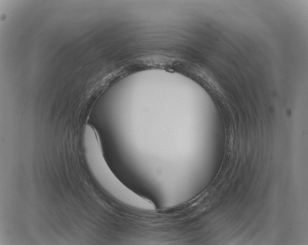 X0000080670411200612301405