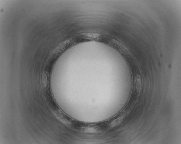 X0000080670412200612301405