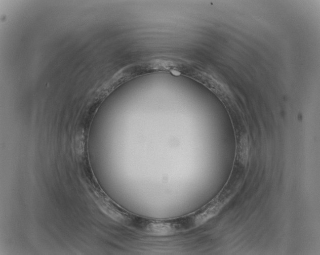 X0000080670413200612301405