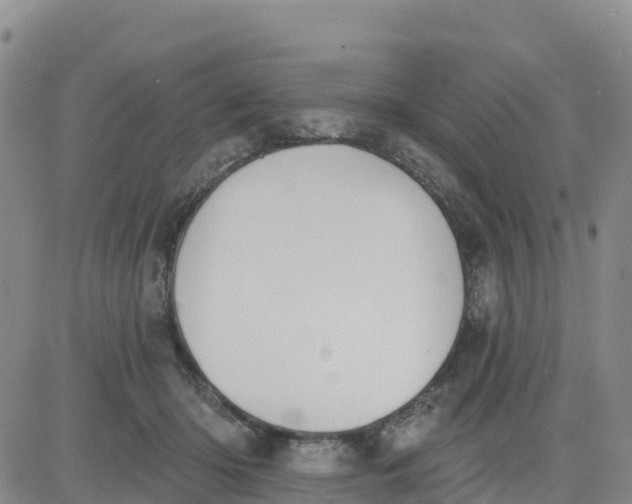 X0000080670414200612301405