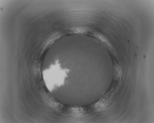 X0000080670415200612301405