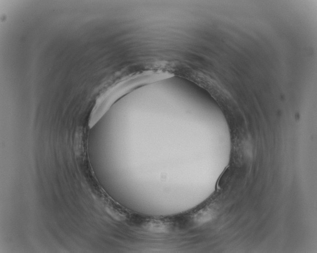 X0000080670416200612301405