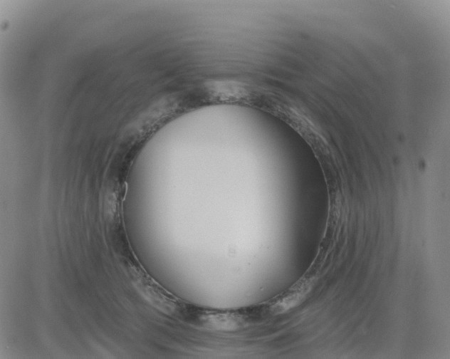 X0000080670417200612301405