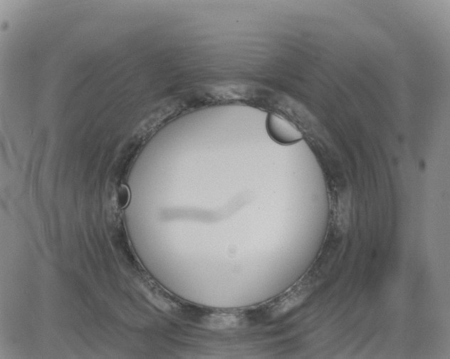 X0000080670418200612301405