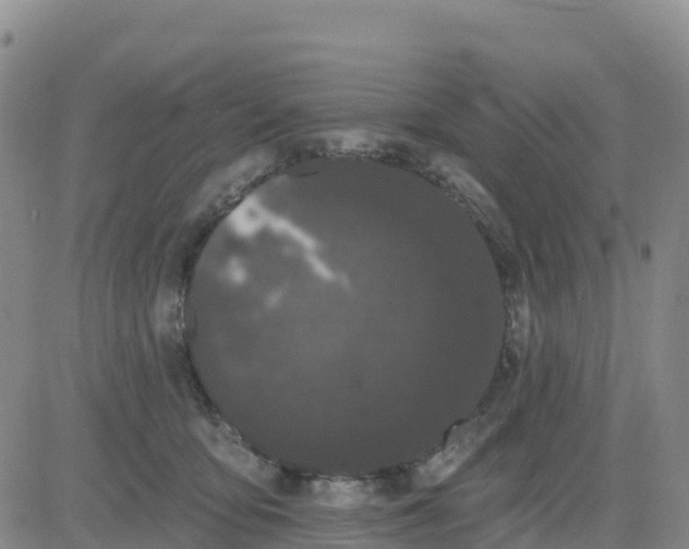 X0000080670419200612301405