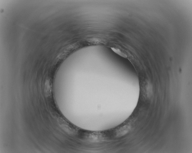 X0000080670420200612301405