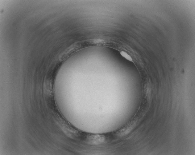 X0000080670421200612301405