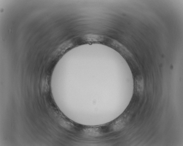 X0000080670422200612301405