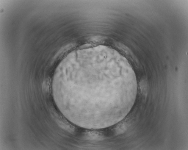 X0000080670423200612301405